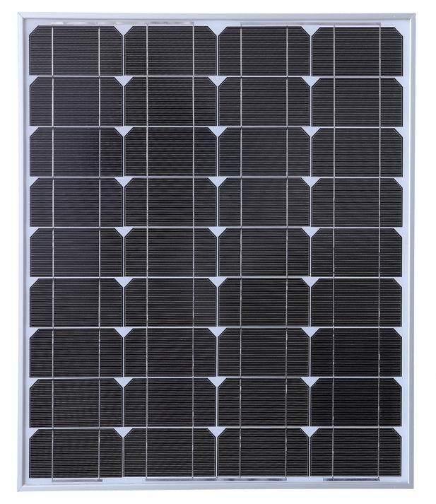 ‘BEAT365’猴子皮肤登场率,全息最少,至尊宝只排第二,第一名想不到是他(图3) beat365官网中文