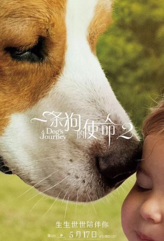 返场呼声最高的4款限定皮肤，特效不输传说，最后一款没有参加直售|beat365(图3)