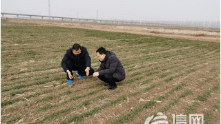 技嘉发表X299 AORUS MASTER主板-beat365(图2) 技嘉发表X299 AORUS MASTER主板-beat365(图2)