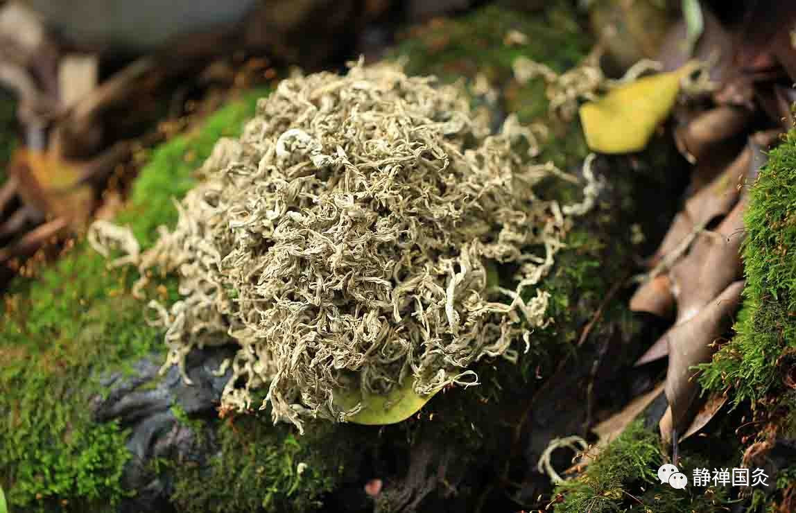 技嘉发表X299 AORUS MASTER主板-beat365(图1) 技嘉发表X299 AORUS MASTER主板-beat365(图1)