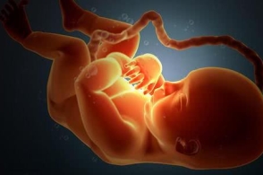 原paiN.X成员集体出走 CCNC携三队友离队:BEAT365(图2) 原paiN.X成员集体出走 CCNC携三队友离队:BEAT365(图2)