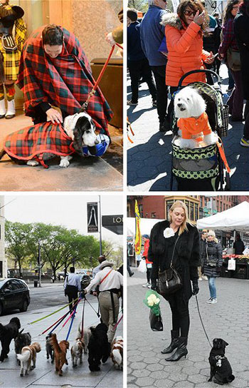 beat365官网中文|是游戏也是快乐,更是筑梦未来的力量(图3) beat365官网中文|是游戏也是快乐,更是筑梦未来的力量(图3)